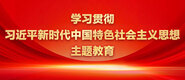 牛子操逼网站学习贯彻习近平新时代中国特色社会主义思想主题教育_fororder_ad-371X160(2)